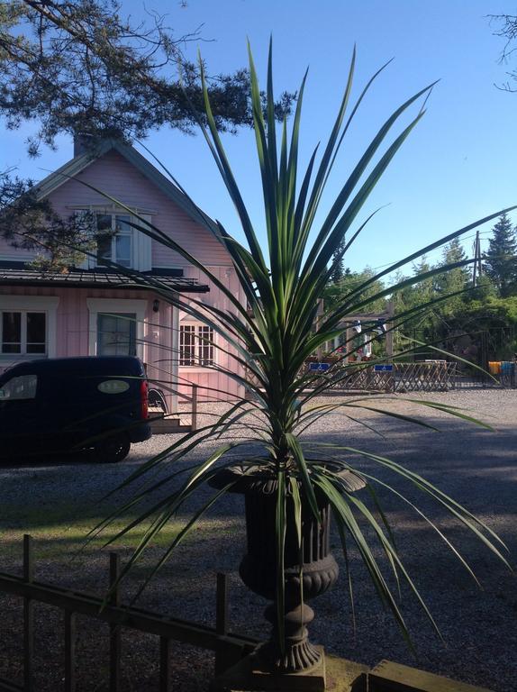 Box Bed & Breakfast Esterno foto